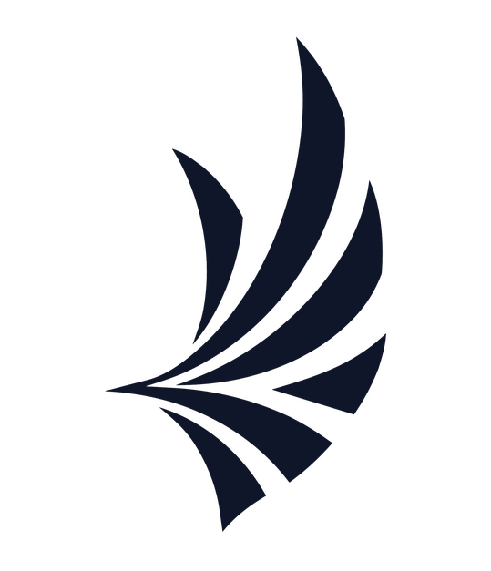 Limitless Creative Network NFP